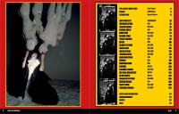 Gallery preview