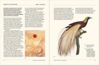Gallery preview