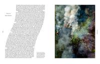 Gallery preview