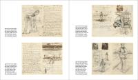 Gallery preview