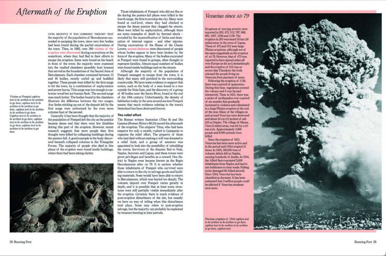 The Complete Pompeii, Complete Series by Joanne Berry | 9780500051504