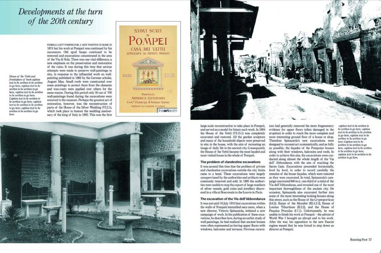 Joanne Berry The Complete Pompeii