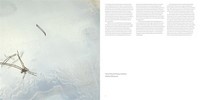 Gallery preview