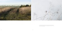 Gallery preview