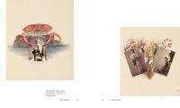Gallery preview