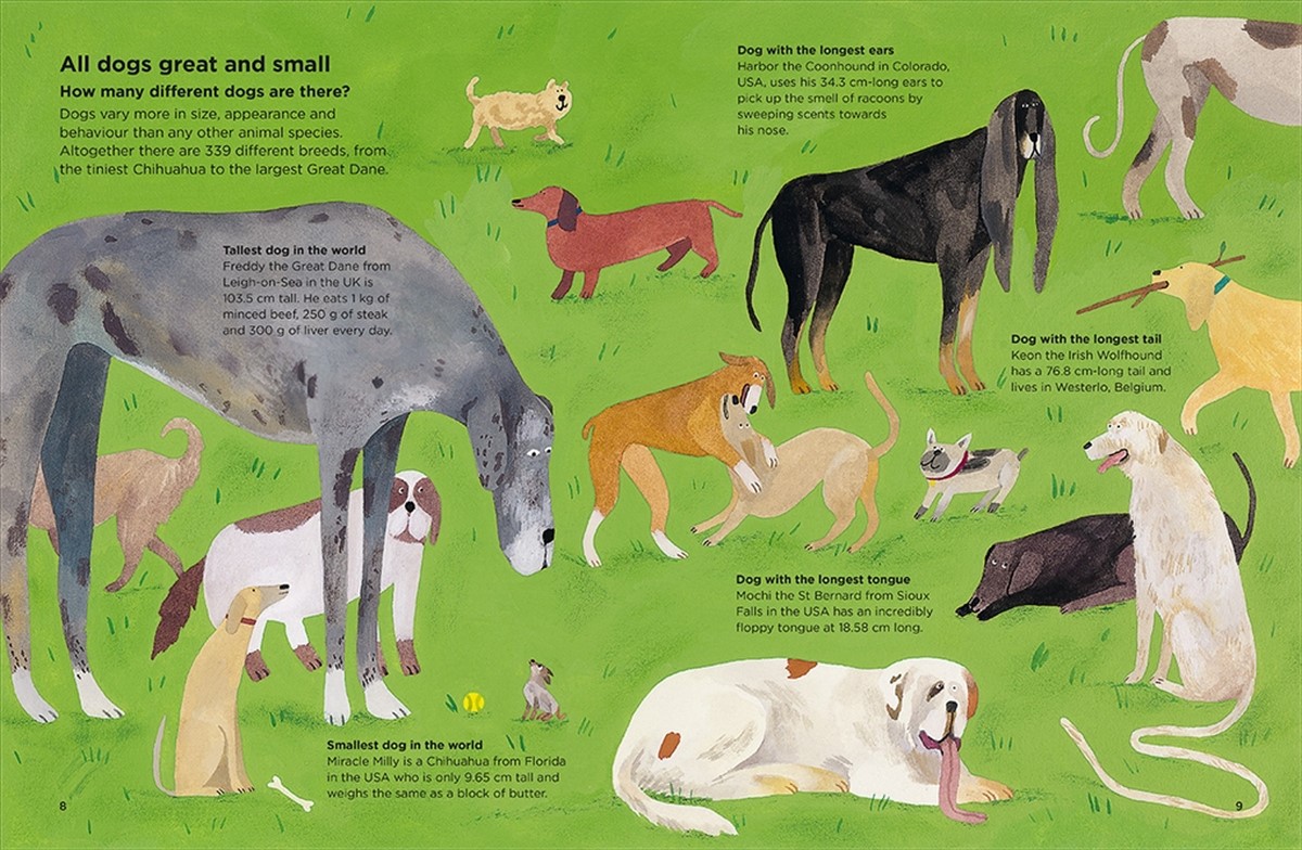 Why do dogs sniff bottoms?, Curious questions about your favourite pet by Nick Crumpton