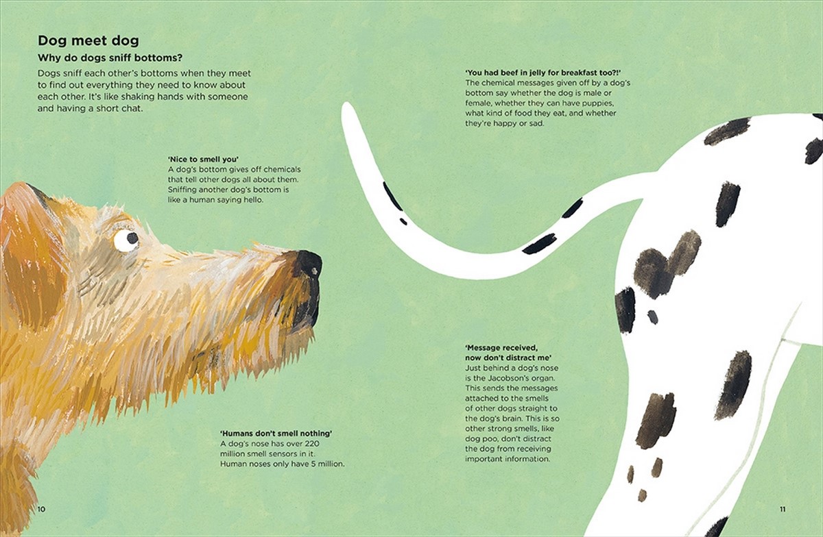 Why do dogs sniff bottoms?, Curious questions about your favourite pet by Nick Crumpton