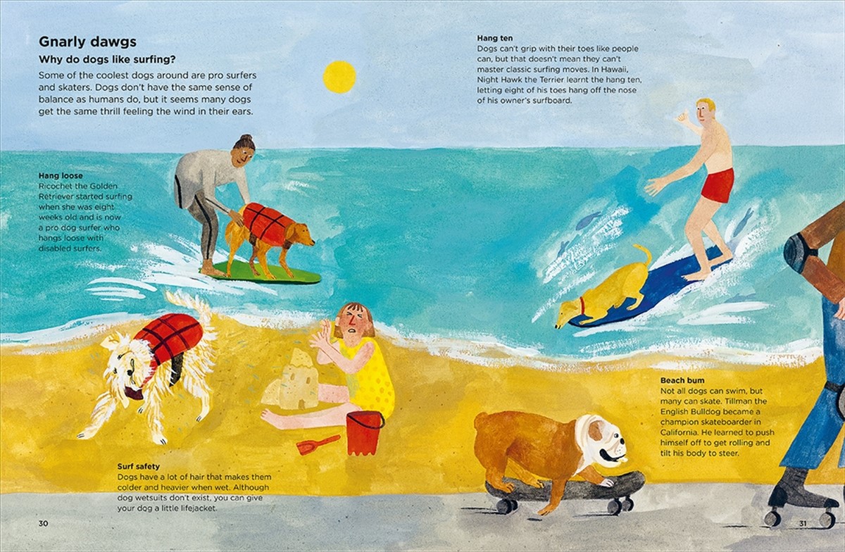 Why do dogs sniff bottoms?, Curious questions about your favourite pet by Nick Crumpton