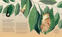 Gallery preview
