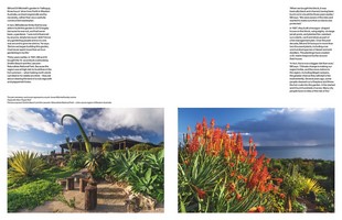 Gallery preview