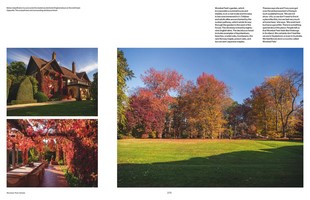 Gallery preview