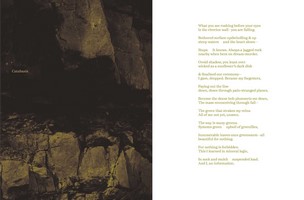 Gallery preview