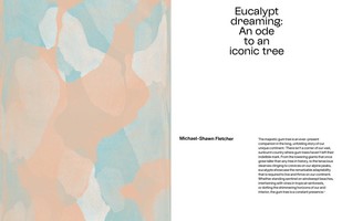 Gallery preview