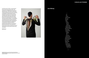 Gallery preview