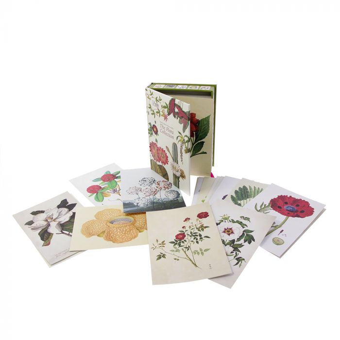 The Flora Collection Postcards in a Box, 50 Stunning Color Postcards