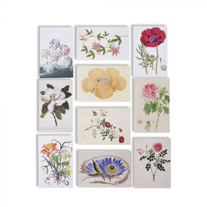 The Flora Collection Postcards in a Box, 50 Stunning Color Postcards