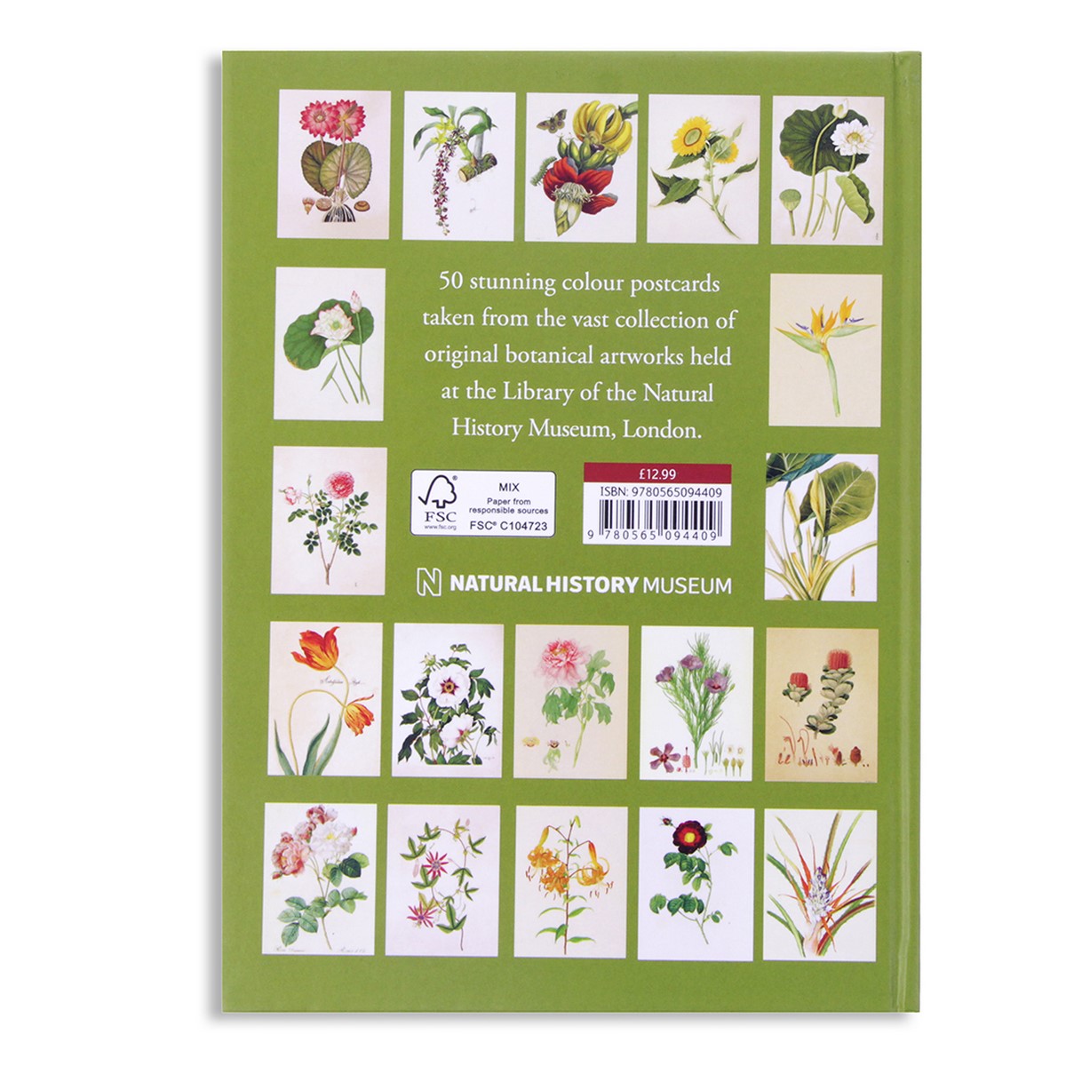 The Flora Collection Postcards in a Box, 50 Stunning Color Postcards
