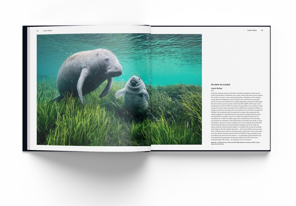 写真集 Wildlife Photographer of the Year 6冊 Wildlife Photographer