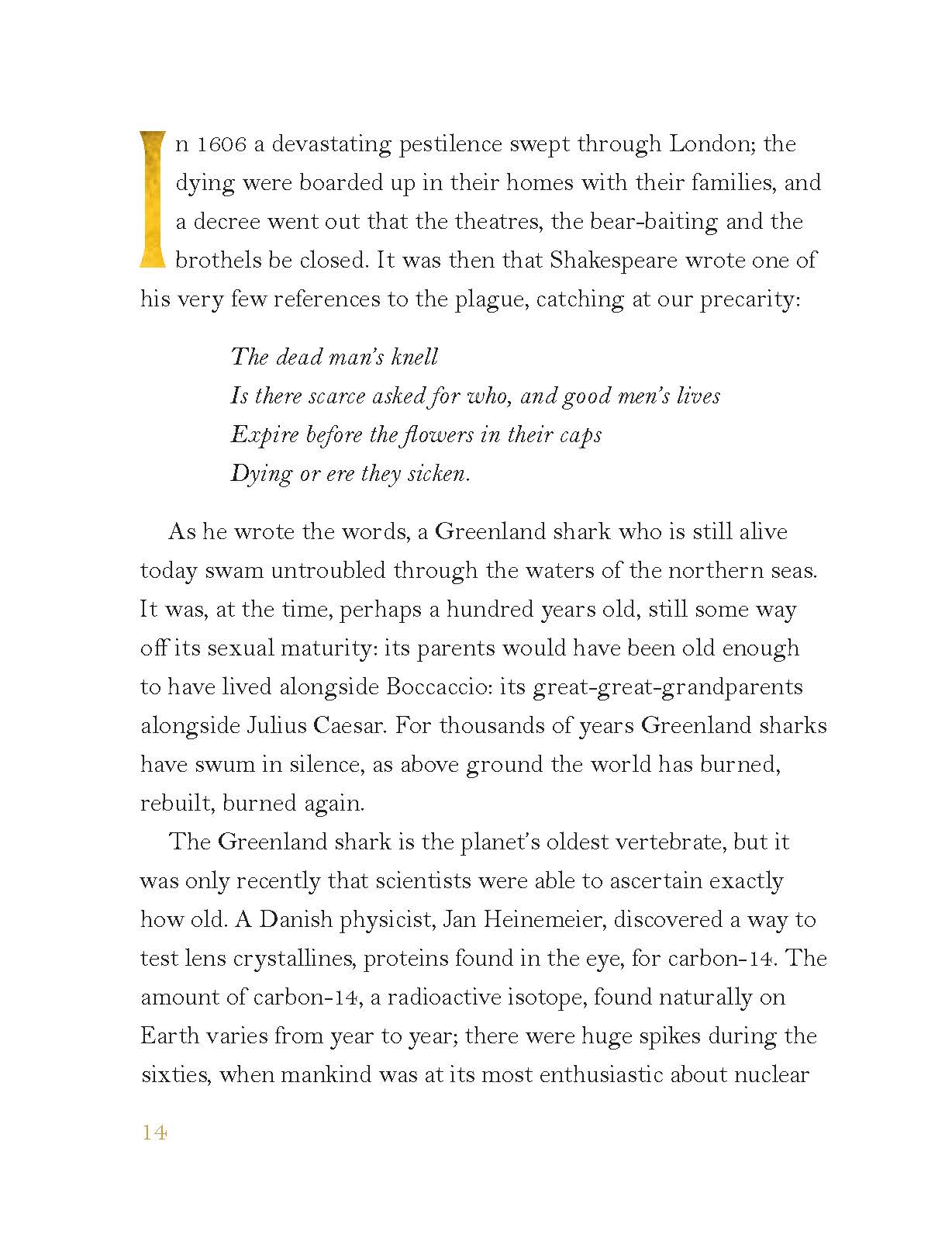 The Golden Mole by Katherine Rundell and Other Vanishing Wonders 9780571362493 Booktopia