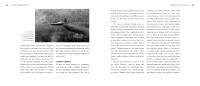 Gallery preview