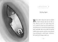 Gallery preview
