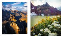 Gallery preview