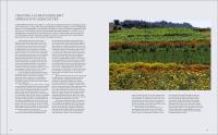 Gallery preview