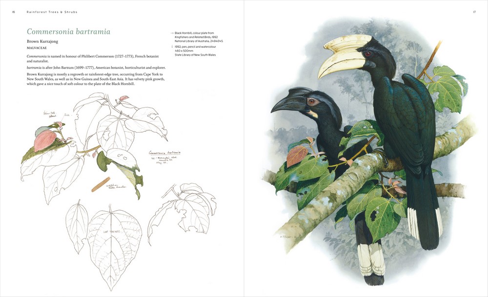 The Botanical Art of William T. Cooper by Wendy Cooper 9780642279712