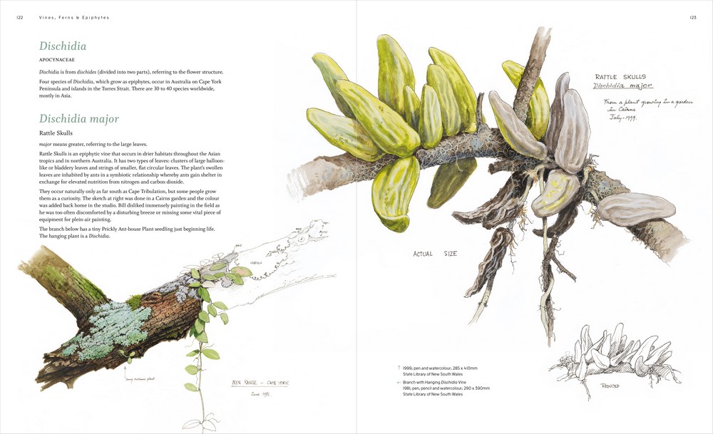 The Botanical Art of William T. Cooper by Wendy Cooper 9780642279712