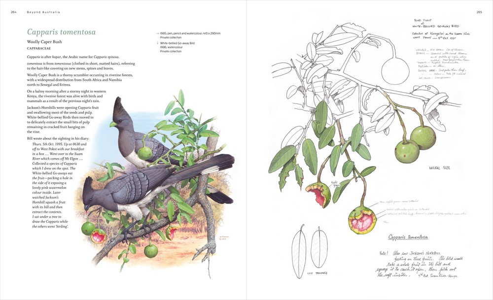 The Botanical Art of William T. Cooper by Wendy Cooper 9780642279712