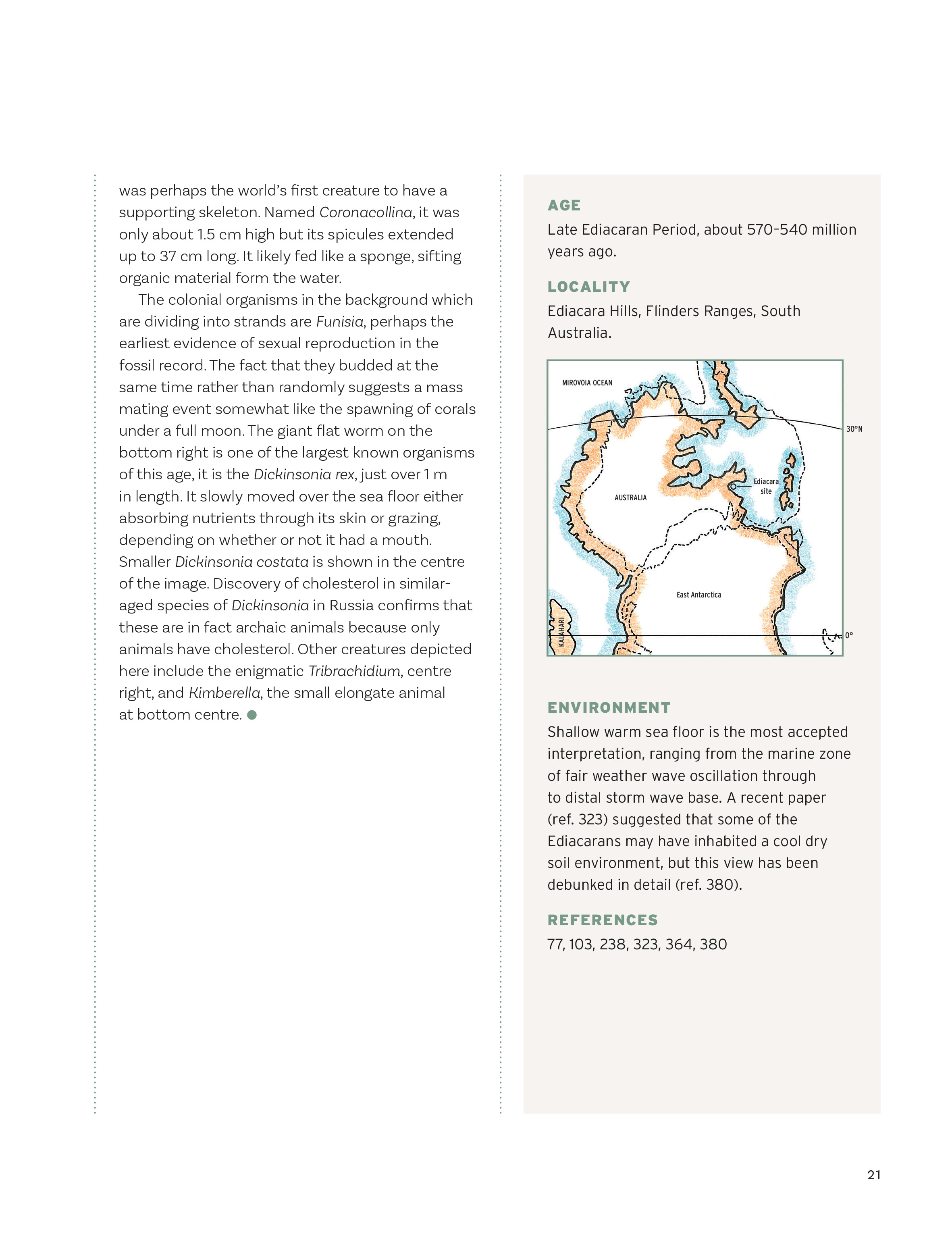 Prehistoric Australialsia: Visions of Evolution and Extinction