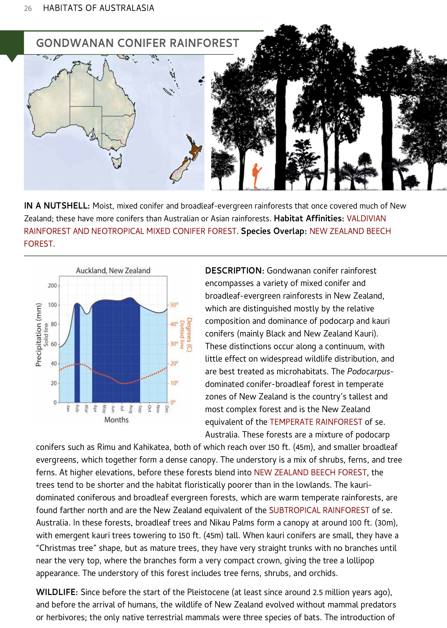 Habitats of the World, A Field Guide for Birders, Naturalists, and Ecologists by Iain Campbell