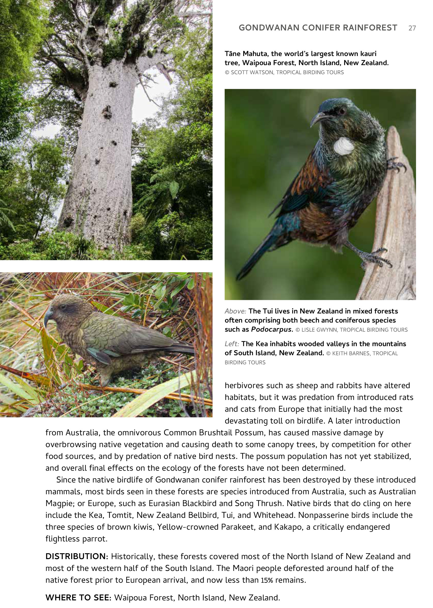 Habitats of the World, A Field Guide for Birders, Naturalists, and Ecologists by Iain Campbell