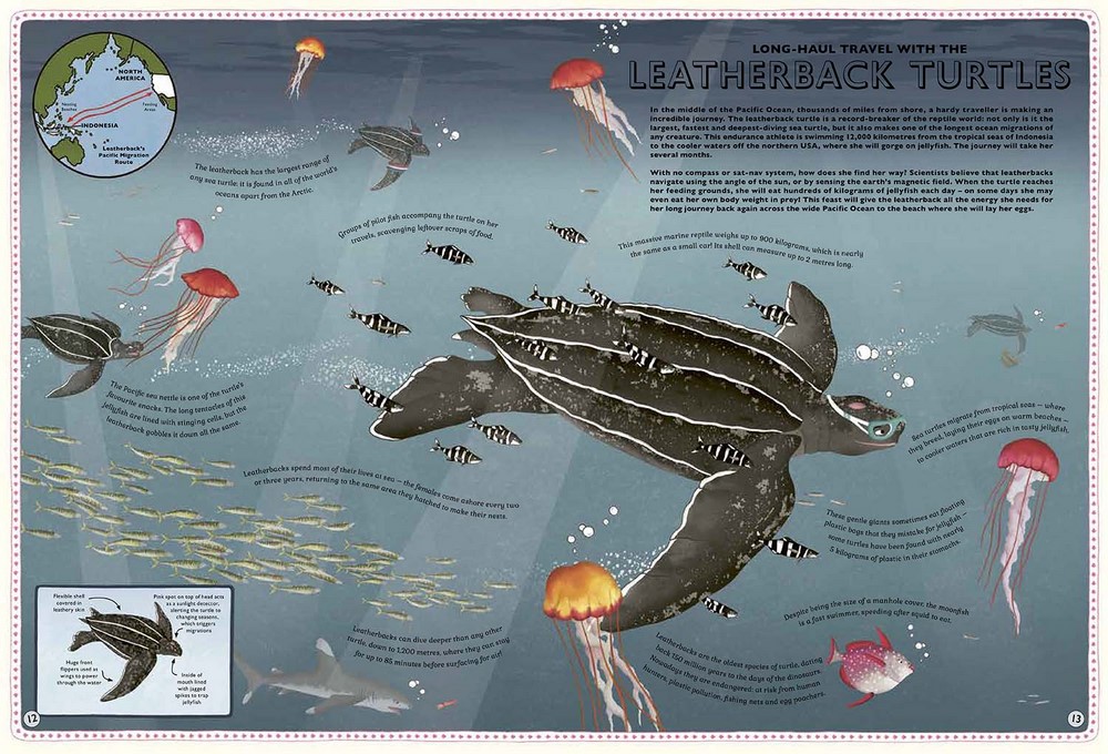 ATLAS OF OCEAN ADVENTURES