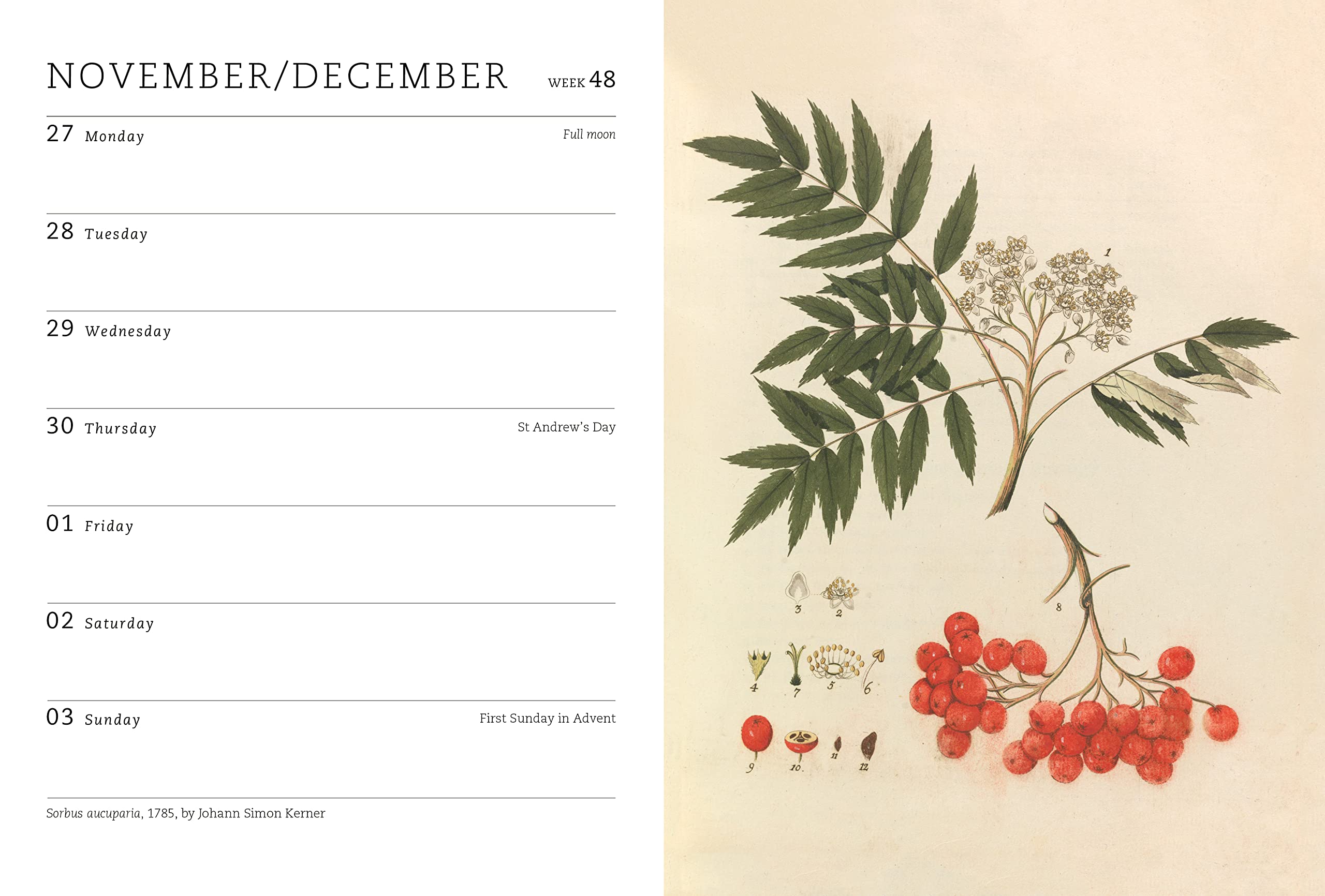 RHS Pocket Diary 2023, Hardcover by Royal Horticultural Society