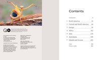 Gallery preview