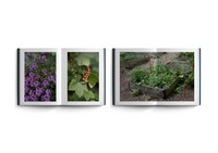 Gallery preview