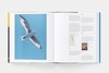 Gallery preview