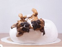 Gallery preview