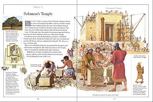 The Children's Illustrated Bible by DK | 9780744039627 | Booktopia