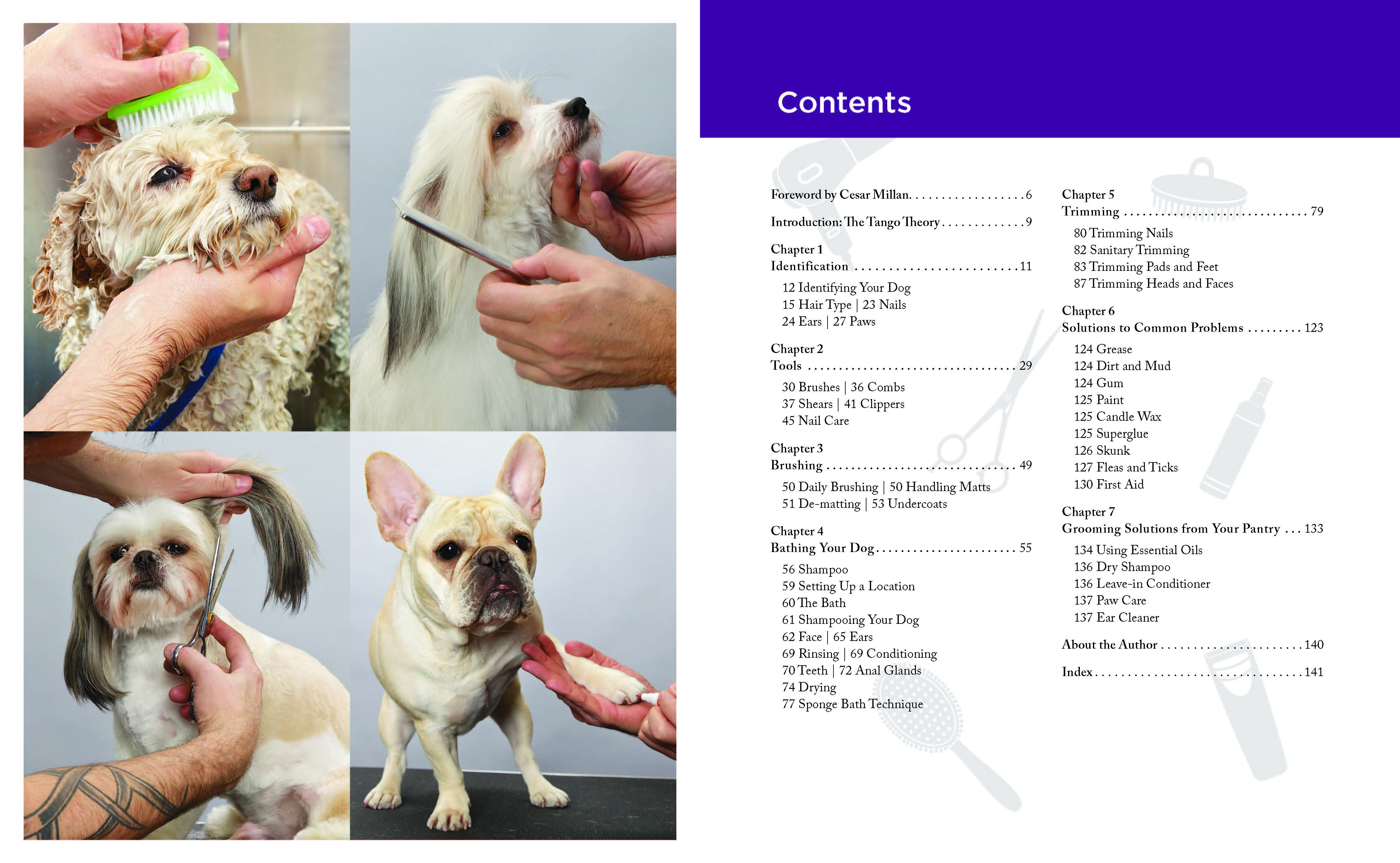 Dog Grooming for Beginners by Bendersky Simple Techniques for