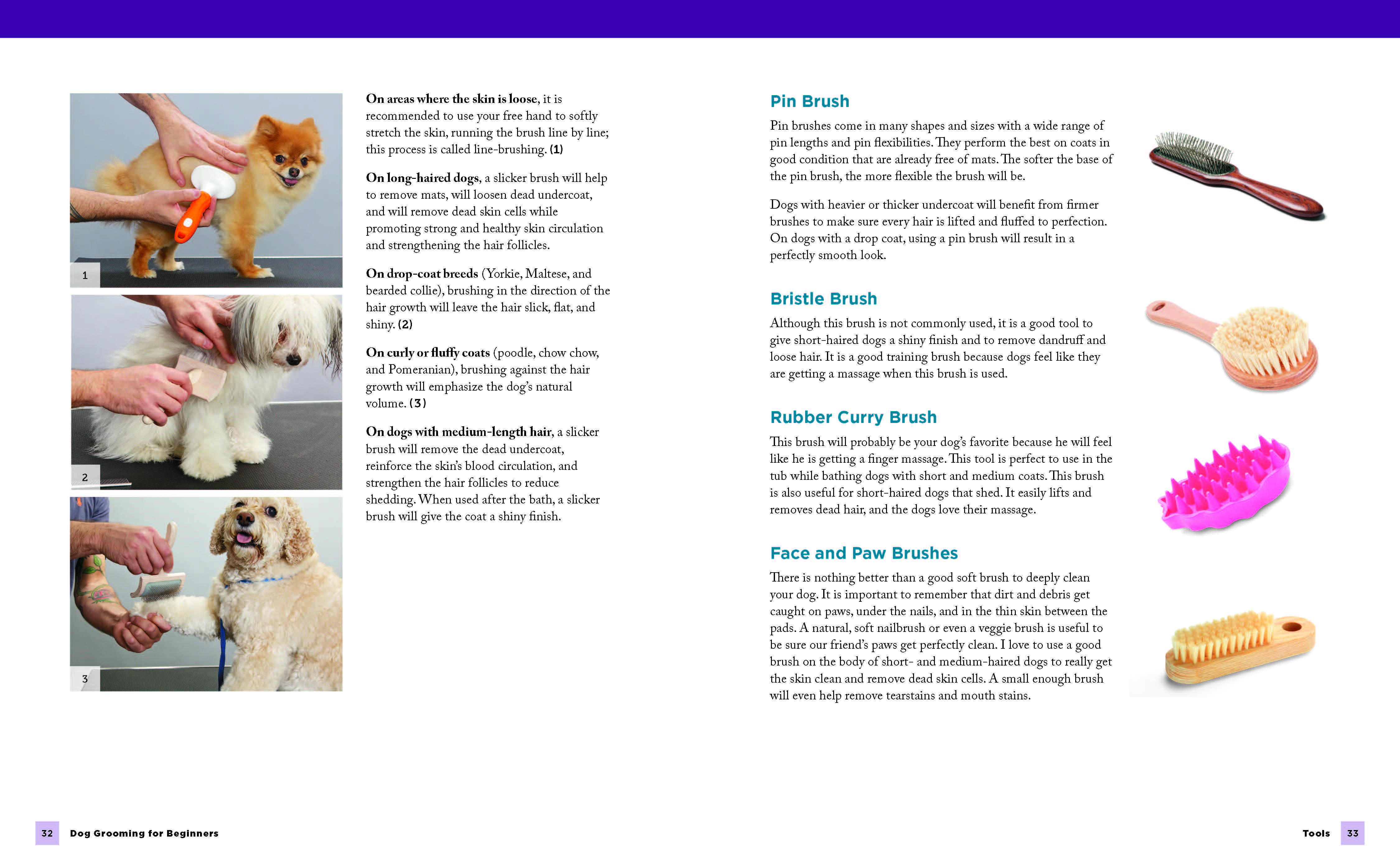 Dog Grooming for Beginners by Bendersky Simple Techniques for