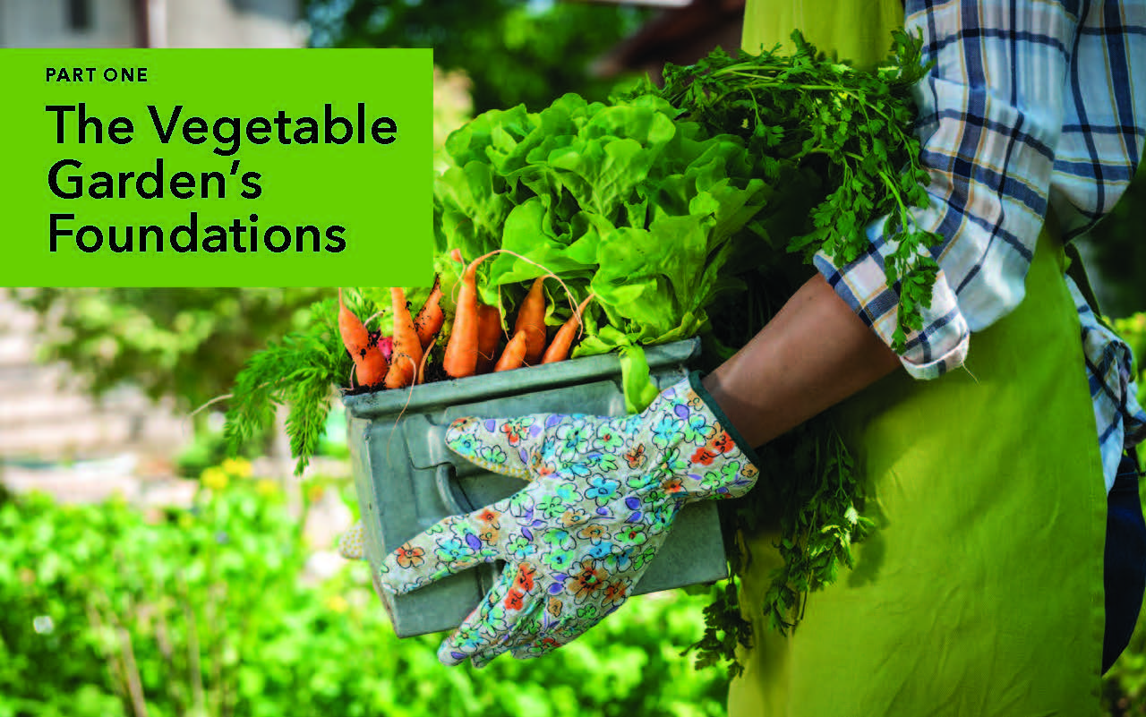 The Complete Guide to Vegetable Gardening (Gardening Know How) by ...