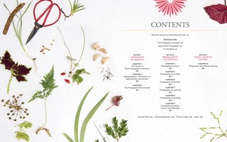 Gallery preview