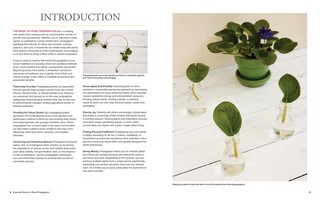 Gallery preview