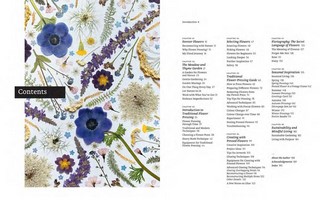 Gallery preview