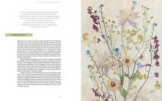 Gallery preview