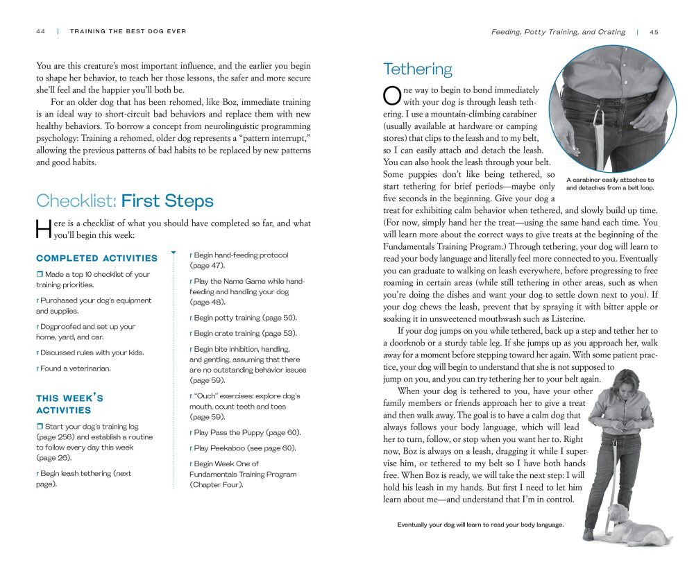 Training the Best Dog Ever, A 5Week Program Using the Power of