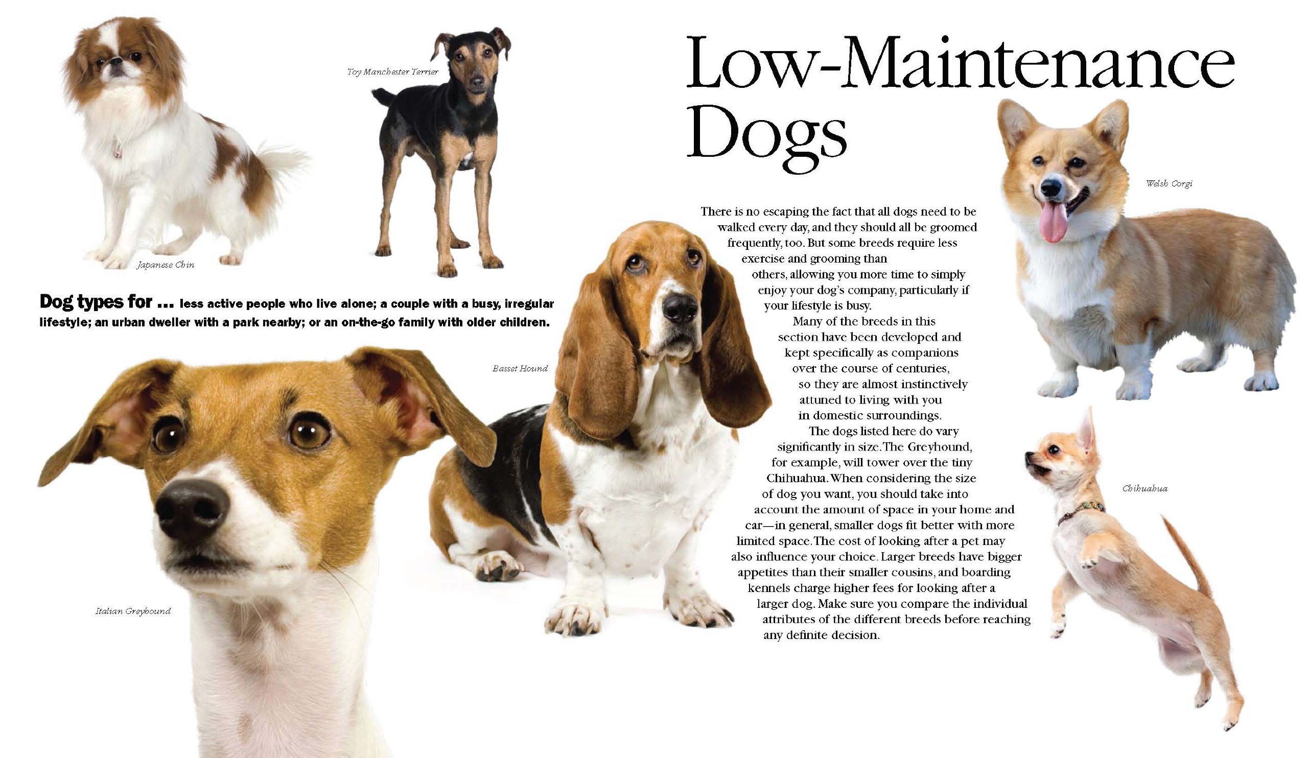 The Dog Selector, How to Choose the Right Dog for You by David Alderton