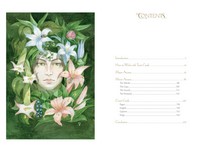 Gallery preview